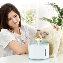 Fonte de água automática para gatos